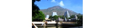 பவழகிரீஸ்வரர் 